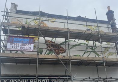 New butterfly mural comes to Canterbury