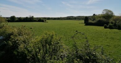 Photo of Brooklands Farm by Ali Tappenden